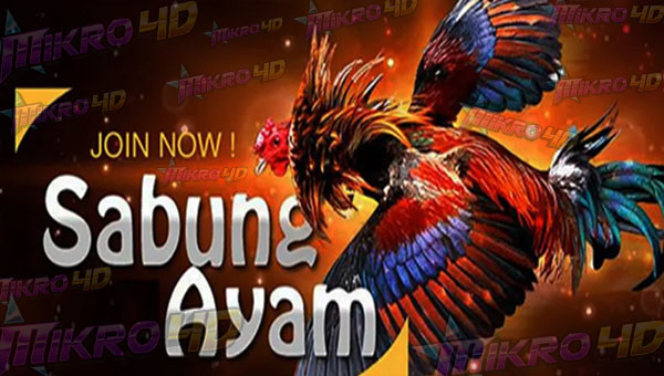 Mengenal Sabung Ayam Online: Legalitas, Risiko, dan Popularitasnya